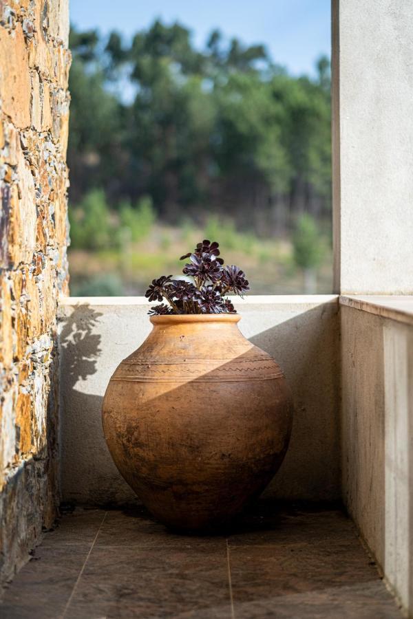 Quinta Da Palhota Villa Vila de Rei Eksteriør bilde